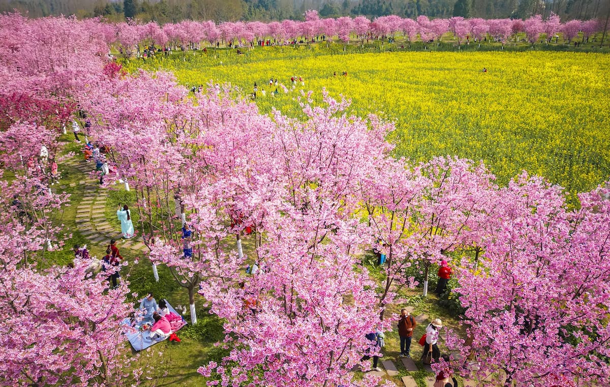 花院人家